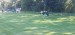 IMG-20240924-WA0052
