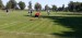 IMG-20240924-WA0066