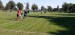 IMG-20240924-WA0068
