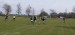 IMG-20250416-WA0030