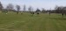 IMG-20250416-WA0031