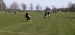 IMG-20250416-WA0035