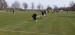 IMG-20250416-WA0036