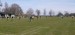 IMG-20250416-WA0075
