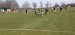 IMG-20250416-WA0080