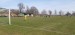 IMG-20250416-WA0087