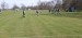 IMG-20250416-WA0113