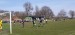 IMG-20250416-WA0114