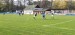 IMG-20250422-WA0045