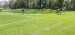IMG-20250429-WA0023
