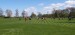 IMG-20250429-WA0027