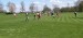 IMG-20250429-WA0052