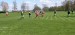 IMG-20250429-WA0053