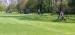 IMG-20250429-WA0057