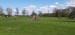 IMG-20250429-WA0072