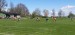 IMG-20250429-WA0077
