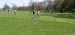 IMG-20250429-WA0079