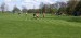 IMG-20250429-WA0080