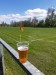 IMG-20250429-WA0085