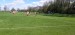 IMG-20250429-WA0100