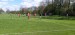 IMG-20250429-WA0104