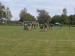IMG-20250512-WA0020