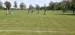 IMG-20250512-WA0035