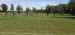 IMG-20250512-WA0036