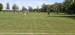 IMG-20250512-WA0038