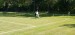 IMG-20250528-WA0095