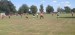 IMG-20250908-WA0029