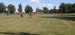 IMG-20250908-WA0059