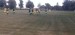 IMG-20250925-WA0037