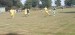 IMG-20250925-WA0048